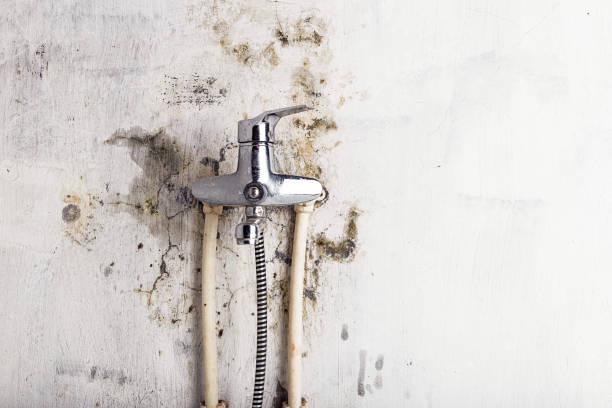 Water Damage Restoration in Marcellus, MI