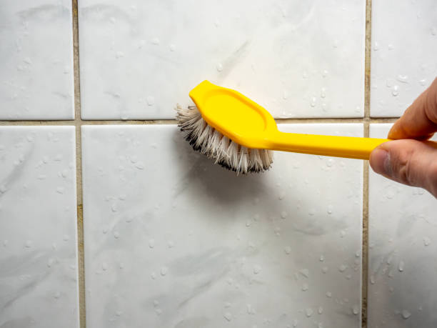 Best Toxic Mold Removal  in Marcellus, MI