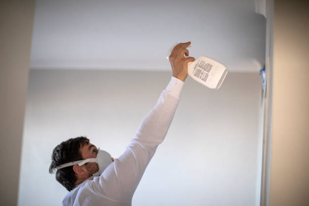 Best Toxic Mold Removal  in Marcellus, MI
