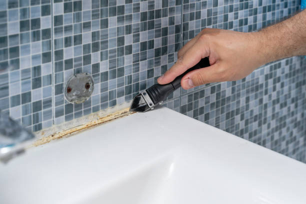 Best Mold Cleaning Services  in Marcellus, MI